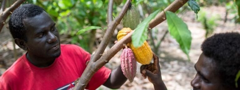 Helping Peter Live with HIV/AIDS
